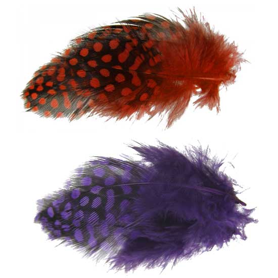 Guinea Body Feathers - Click Image to Close