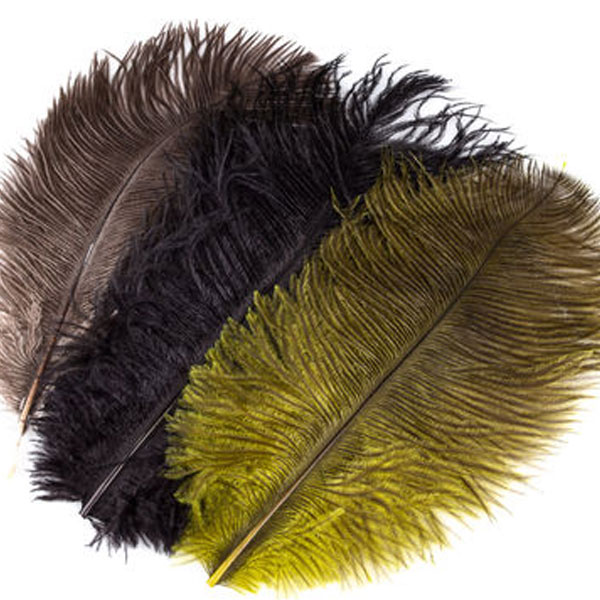 Ostrich Plumes